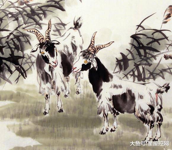 澳門最快開獎(jiǎng)六開生肖，揭秘彩票背后的秘密，澳門六開生肖彩票背后的秘密揭曉