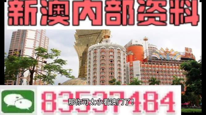 新澳新澳門正版資料，探索與解析，新澳新澳門正版資料深度解析與探索