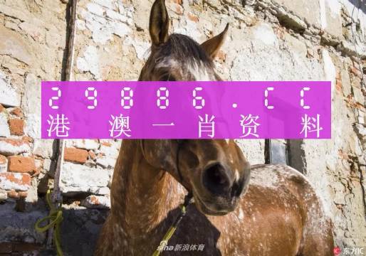 揭秘王中王資料，一肖正特馬的奧秘，揭秘王中王資料與一肖正特馬的神秘面紗