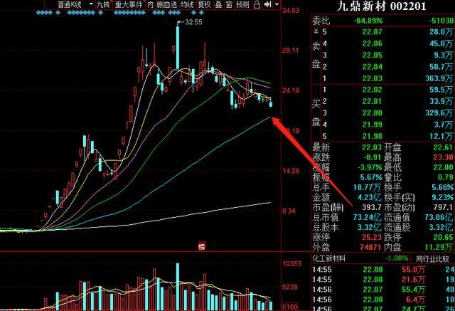 股票002201，深度解析與前景展望，股票002201深度解析與未來(lái)前景展望