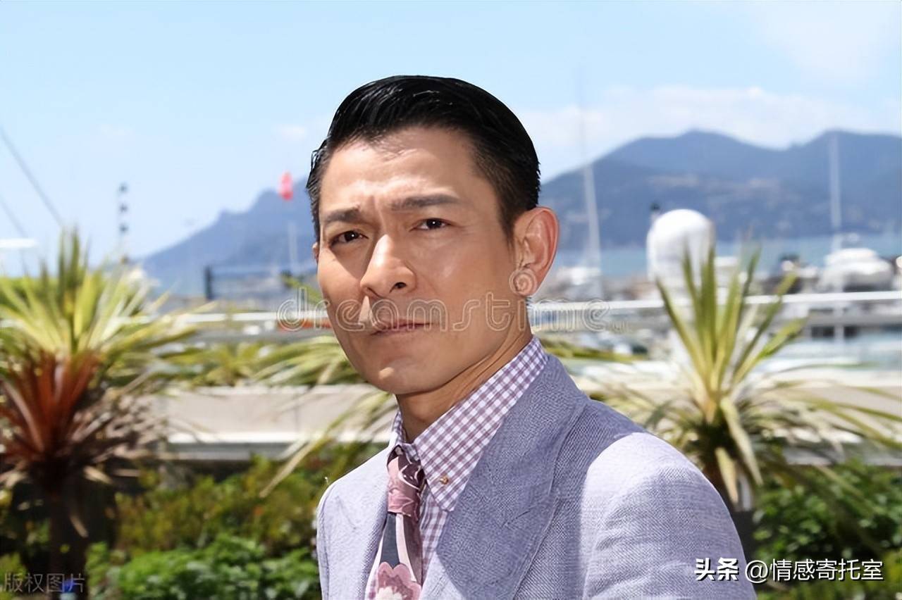 香港一碼一肖王中王，揭秘背后的秘密與真相，揭秘香港一碼一肖王中王的秘密與真相