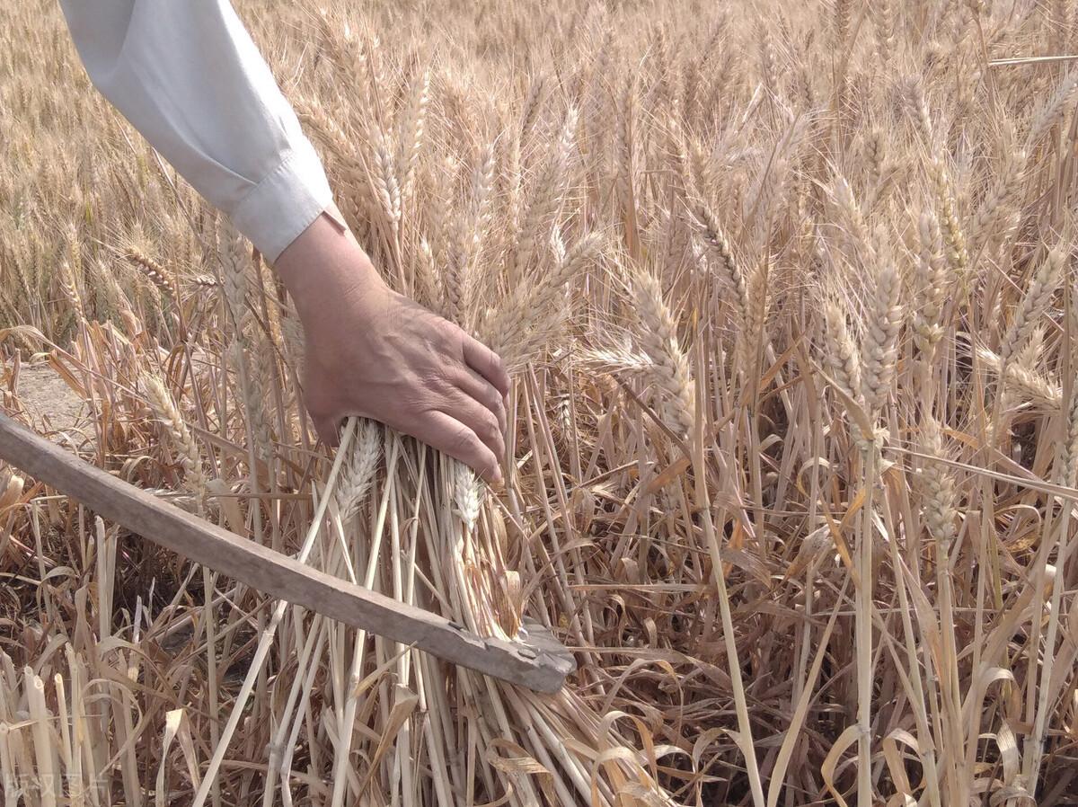 最精確幾點(diǎn)幾分下雨天氣預(yù)報(bào)——掌握天氣動(dòng)態(tài)，生活更便捷，最精確幾點(diǎn)幾分下雨天氣預(yù)報(bào)，掌握生活便捷的關(guān)鍵