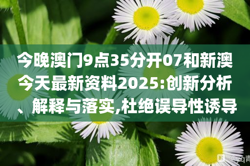 新澳今天最新資料，深度解讀與探索，新澳今日深度解讀與探索最新資料