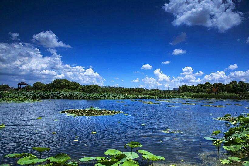 山東天氣最新消息，全面了解山東各地的氣象動(dòng)態(tài)，山東最新天氣預(yù)報(bào)，全面解讀各地氣象動(dòng)態(tài)