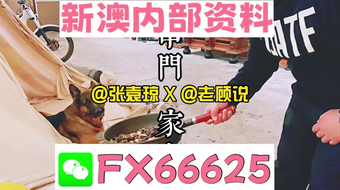 澳門管家婆資料正版大全——全面解析與深度探索，澳門管家婆資料正版大全，全面解析與深度探索指南