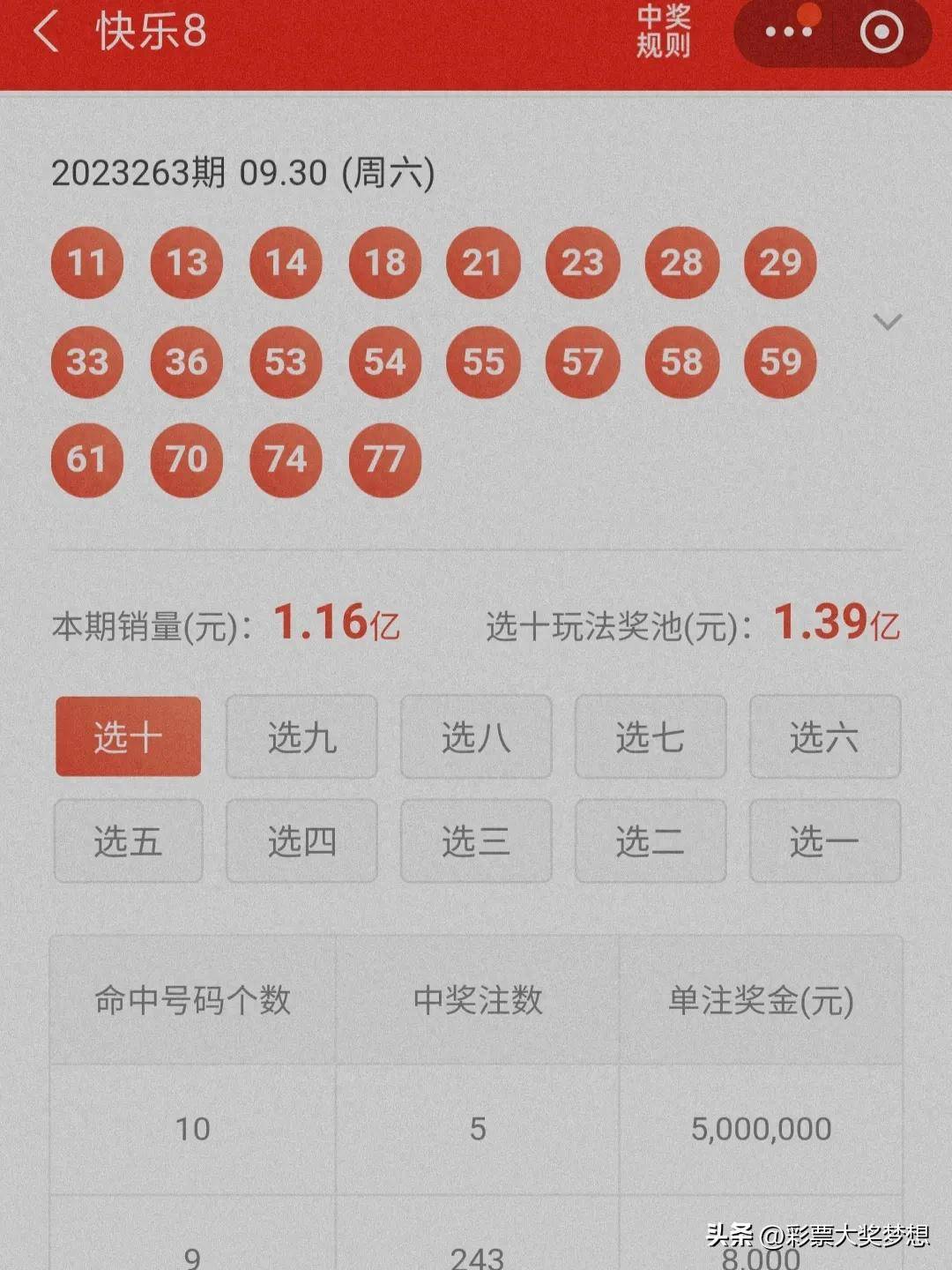 揭秘王中王四肖必中一肖中特，深度解析與SEO優(yōu)化策略，揭秘王中王四肖必中一肖中特，深度解析與SEO策略全攻略