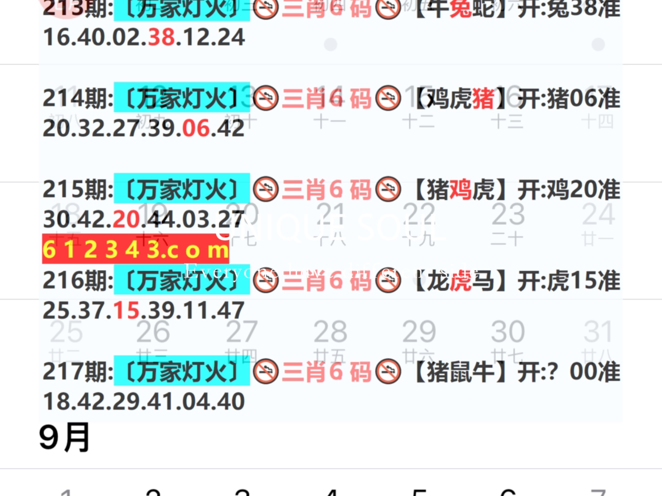 新澳門期期免費資料——探索澳門博彩文化的深度與廣度，澳門博彩文化深度與廣度探索，新澳門期期免費資料揭秘