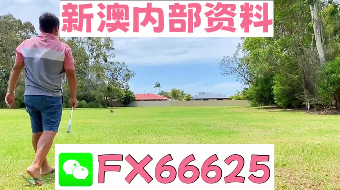 王中王一肖一嗎期期中，深度解析與SEO優(yōu)化策略，王中王一肖一期的深度解析與SEO優(yōu)化策略探討
