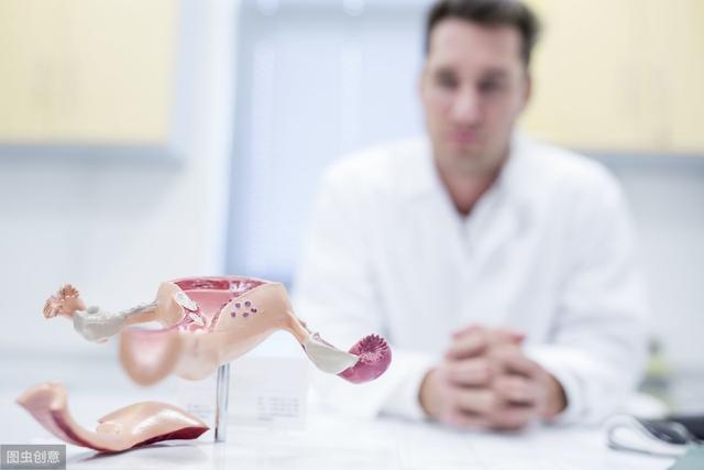 雌激素低怎么調(diào)理，全面指南與策略，雌激素低如何調(diào)理？全面指南及策略助你恢復(fù)平衡