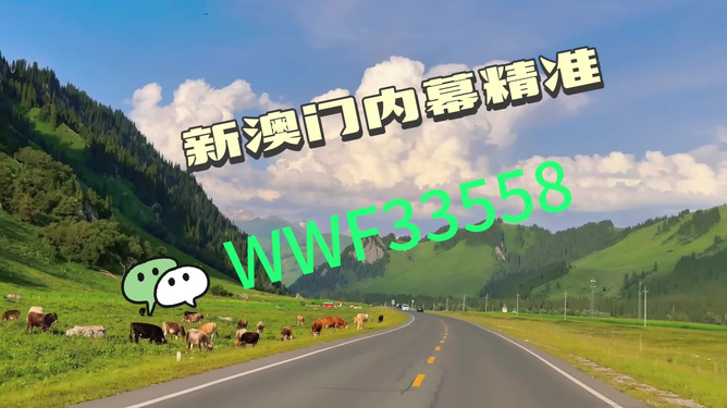 王中王一肖一馬中特一，探尋背后的秘密與獨特之處，探尋王中王一肖一馬中特一背后的獨特秘密