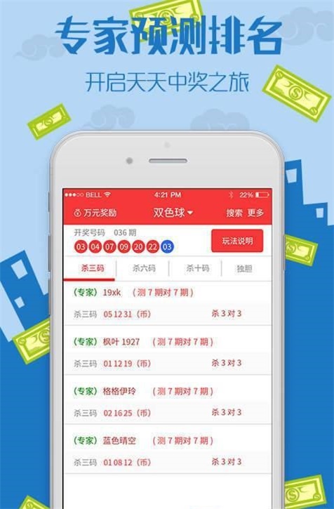 王中王王中王免費資料大全一，深度解析與探索，王中王王中王資料大全深度解析與探索一
