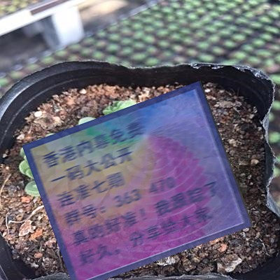 揭秘三肖賠多少錢——全面解析與指南，揭秘三肖賠款金額，全面解析與指南