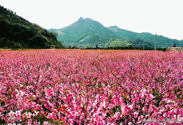 鄭州旅游攻略必去景點大全，鄭州旅游攻略，必游景點全攻略