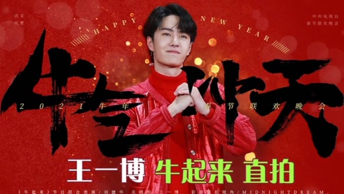 王中王一肖中特論壇鐵板，深度解析與SEO優(yōu)化策略，王中王一肖中特論壇鐵板深度解析與SEO優(yōu)化策略探討