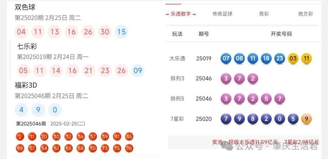 香港今晚開(kāi)獎(jiǎng)結(jié)果號(hào)碼是多少——揭秘彩票背后的秘密，揭秘彩票背后的秘密，香港今晚開(kāi)獎(jiǎng)結(jié)果號(hào)碼揭曉
