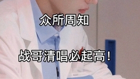 揭秘生肖傳奇，探尋049王中王風(fēng)冠一肖背后的奧秘，揭秘生肖傳奇背后的奧秘，探尋王中王風(fēng)冠一肖的神秘面紗