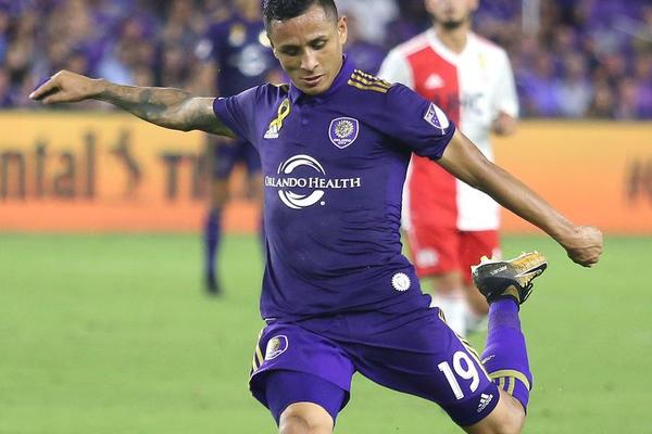 管家婆必中一肖圖正版，揭秘彩票背后的秘密與策略，揭秘彩票背后的秘密與策略，管家婆必中一肖圖正版分析