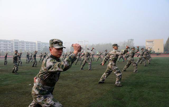 解析軍士長為何不升軍官，背后的原因與考量，解析軍士長晉升停滯背后的原因與考量，為何未能成為軍官？