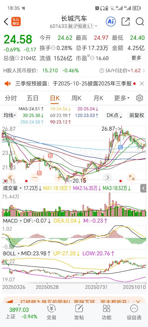 長城汽車股票股吧深度解析，長城汽車股票深度解析與股吧熱議
