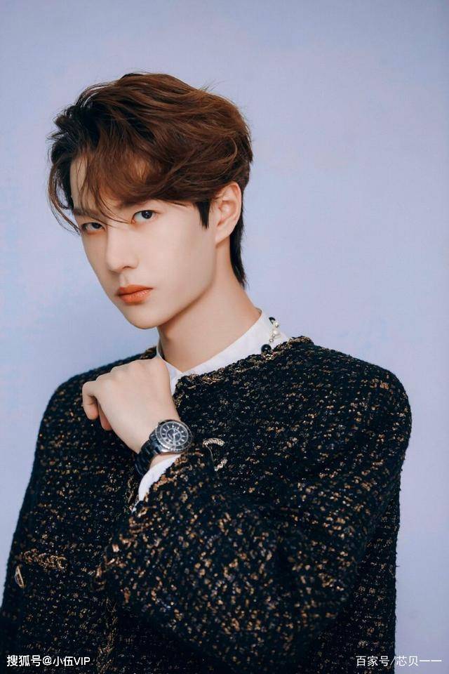 王中王一肖中特資料圖片——深度解析與SEO優(yōu)化文章，王中王一肖中特資料圖片的深度解析與SEO優(yōu)化探討