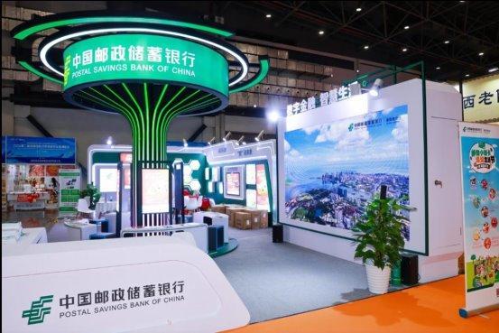 新澳2025今晚開獎(jiǎng)資料詳解，新澳2025今晚開獎(jiǎng)資料全面解析