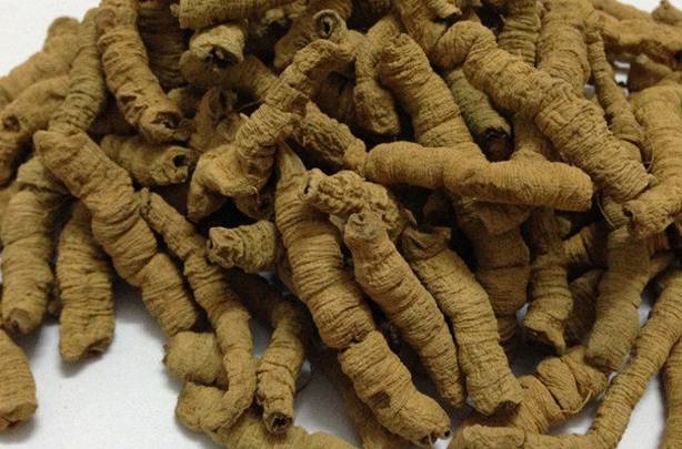 巴戟天的作用和功效，深入解析傳統(tǒng)中藥材的魅力，巴戟天的功效與作用，揭示傳統(tǒng)中藥材的奧秘與魅力