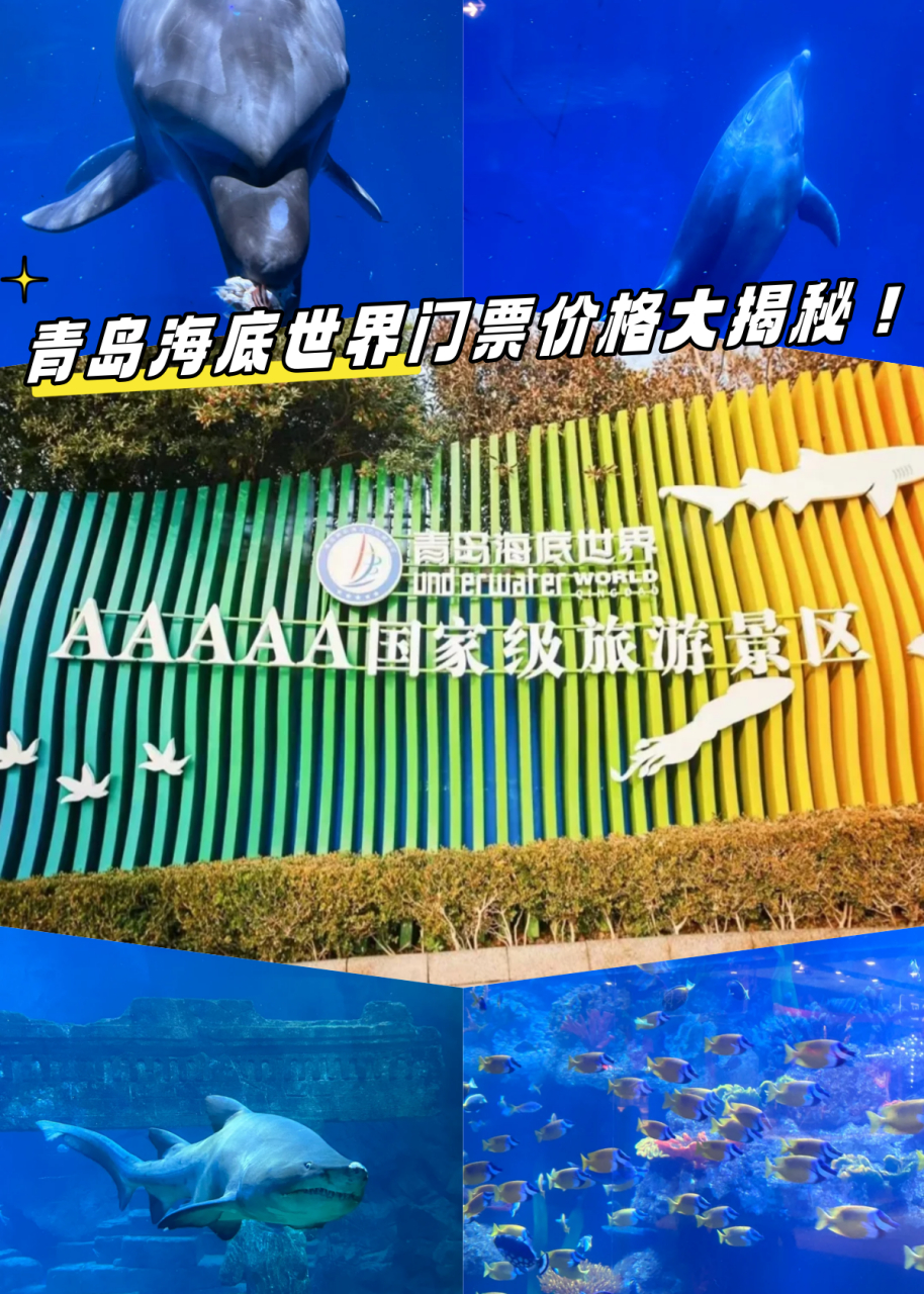青島海底世界門票是否免費？一篇文章帶你了解全部信息，青島海底世界門票全面解析，免費與否？一篇文章告訴你答案！