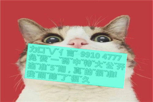 一肖啥意思，深度解析與SEO優(yōu)化文章，一肖含義深度解析與SEO優(yōu)化策略探討