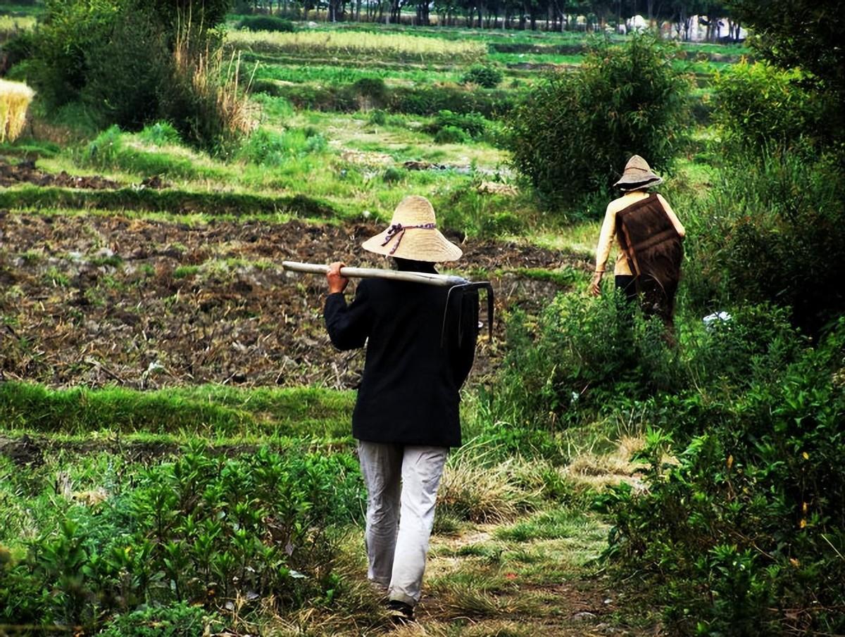 發(fā)生過關(guān)系后多久能查出懷孕——全面解析懷孕檢測時間與方式，發(fā)生關(guān)系后多久可查出懷孕？全面解析懷孕檢測時間與方式